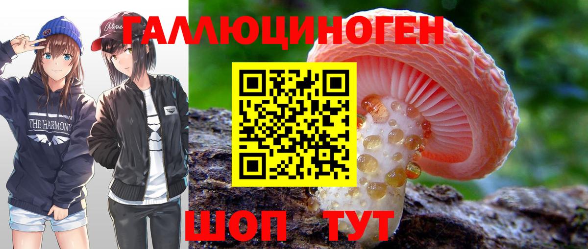 Можайск  Псилоцибиновые грибы Magic Shrooms  Галлюциногенные грибы ЛСД  купить наркотики сайты  Вход с VPN 